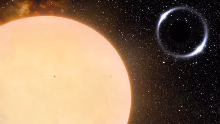 dennn-5.jpg