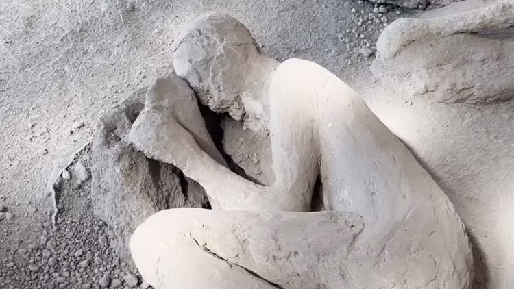 thiett-3.png