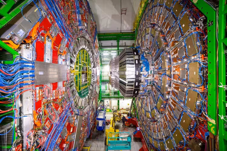 vangg-7.jpg