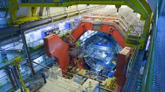 vangg-1.jpg