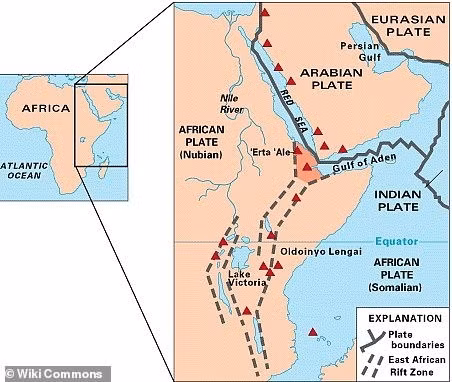 chau-phi-3.jpg