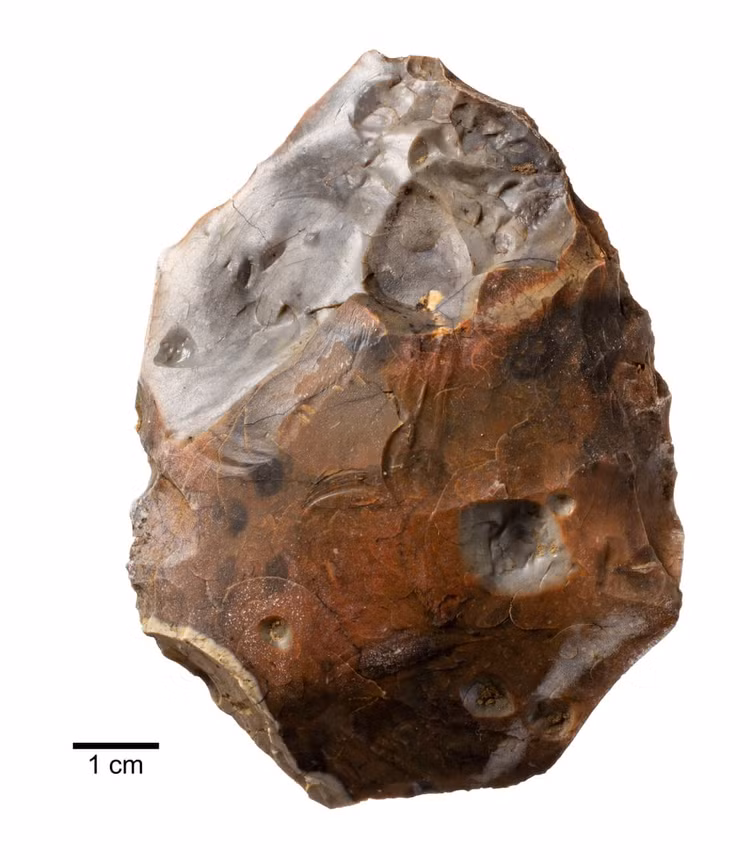 langg-6.jpg