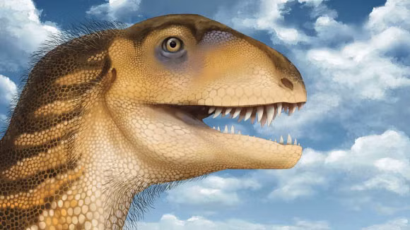 khoooa-3.png