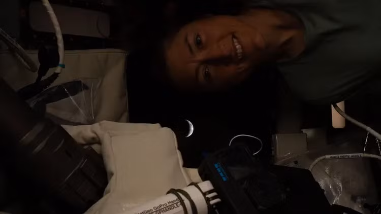 mattt-10.png