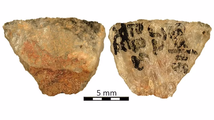 muii-3.jpg