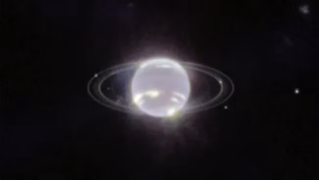 nhenn-6.png