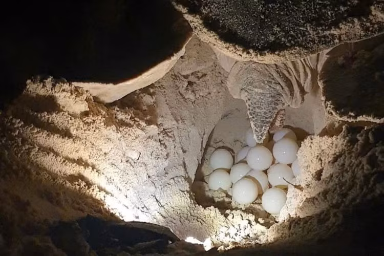 rua-7.jpg