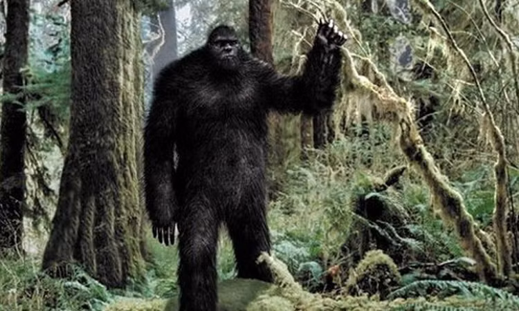 bigfoot-10-1.jpg