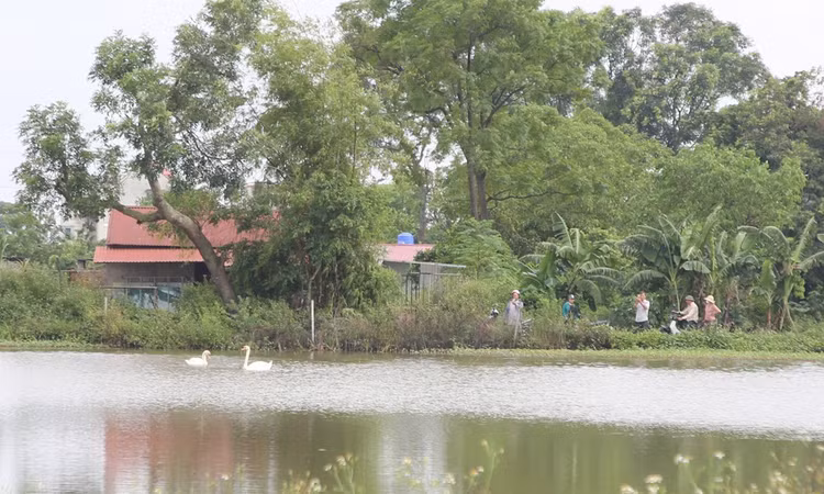 thien-1.jpg