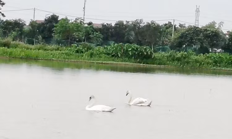 thien-2.jpg