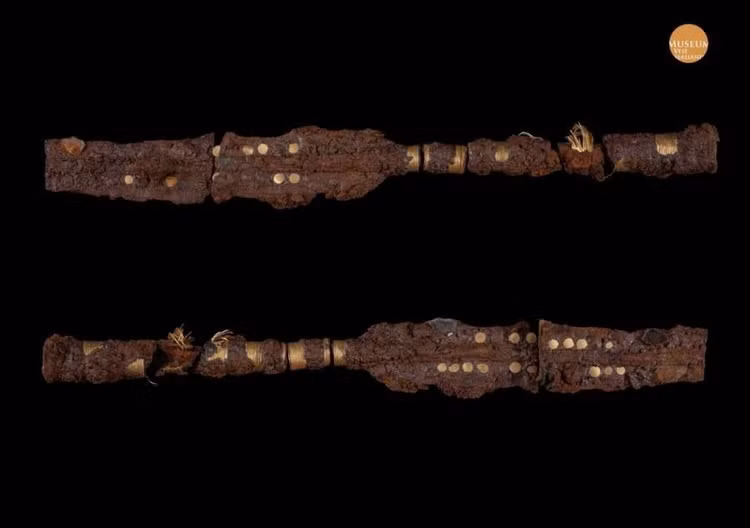 ngonn-1.jpg
