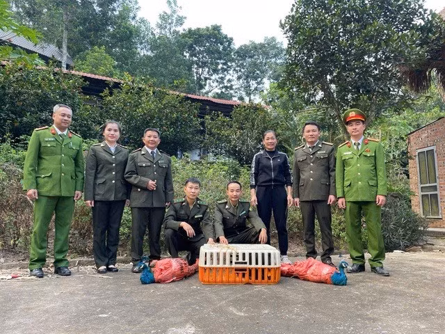 cooong-4.jpg