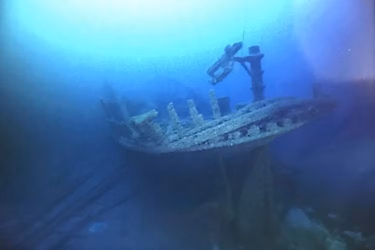 tauuu-7.jpg