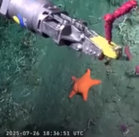 sao-4.jpg