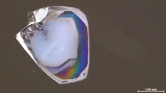 kim-1.jpg