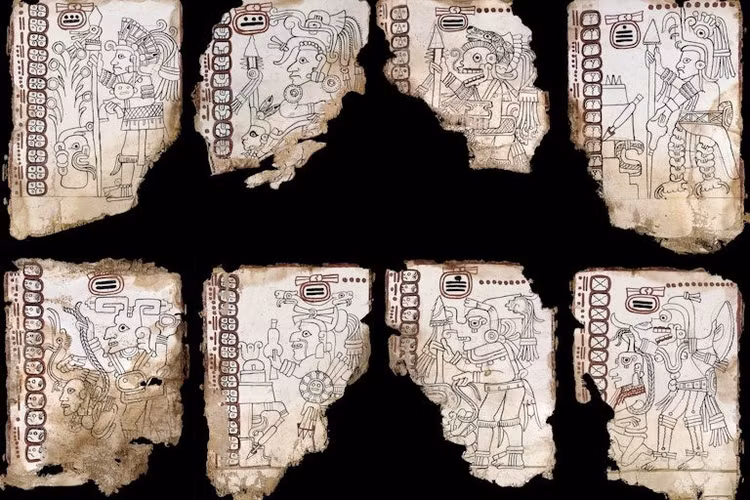 maya-2.jpg
