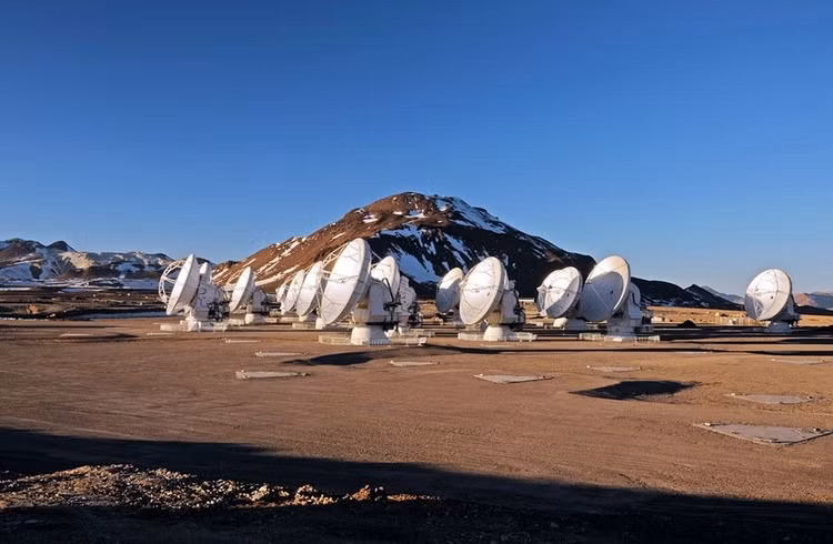 tuyet-3.jpg