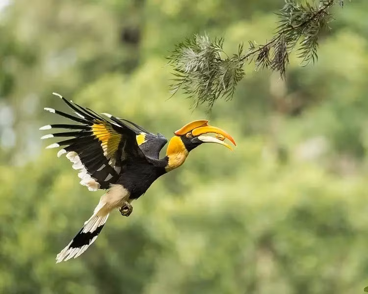 chimm-10.jpg