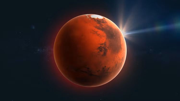 saohoa-12.jpg