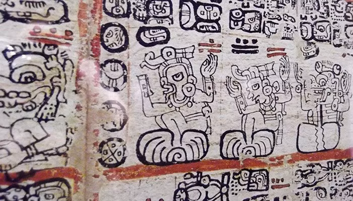 maya-4.jpg