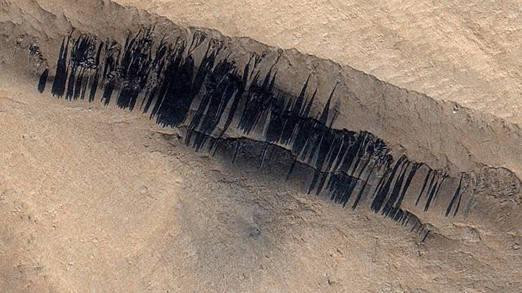 saooo-1.jpg