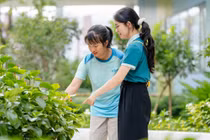 Vin Nexus Center: Trường học hạnh phúc hình trái tim và những gam màu “lạ"