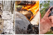 Người Neanderthal biết chế tạo dược phẩm từ 200.000 năm trước