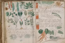 Phương pháp mật mã mới hé lộ bí ẩn của Bản thảo Voynich