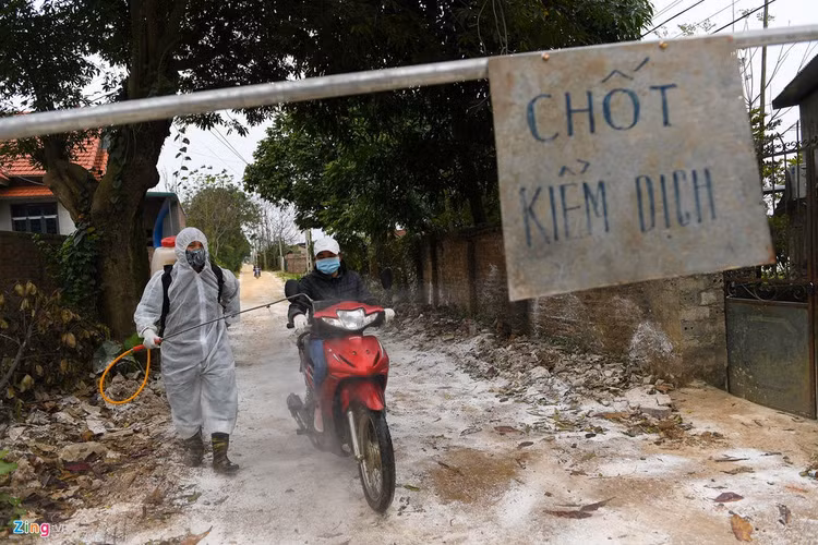 Rai voi, khu trung khi dich cum A/H5N6-xuat-hien-hinh-anh-1-1_H5N6_Chuong_My_zing23.jpg