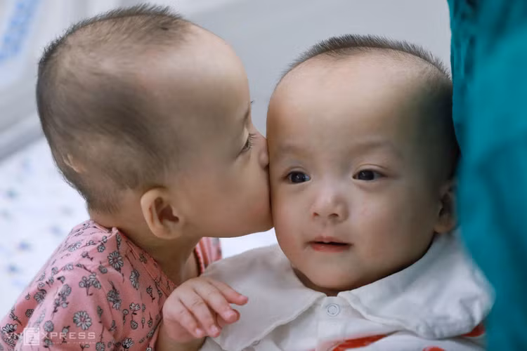 Trúc Nhi, Diệu Nhi tập đứng, tập bò ảnh 11 Trúc Nhi, Diệu Nhi tập đứng, tập bò ảnh 11