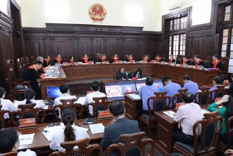 Tòa tối cao tuyên bác kháng nghị vụ Hồ Duy Hải - ảnh 4