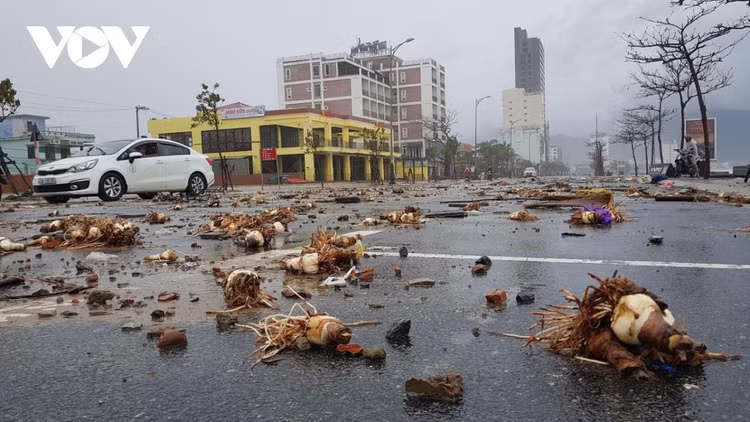 Cập nhật: Bão số 13 cuốn bay mái trường học, "nhổ" bật gốc cây, cuốn trôi nhà dân ảnh 28