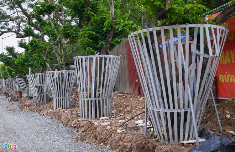 hang cay sua do mac ao giap sat anh 1