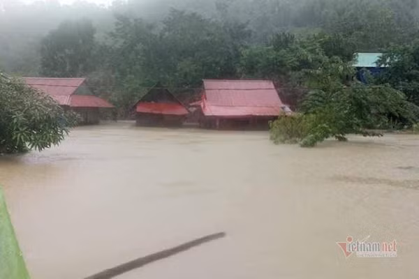 Núi lở, lũ ngập nhà, dân bản Quảng Bình ra sườn đồi trú trong lều bạt