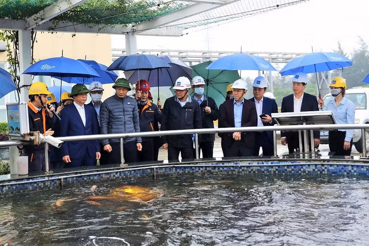 Đánh giá kết quả khắc phục các vi phạm của Formosa Hà Tĩnh - 1