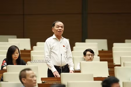 Đại biểu Lê Thanh Vân (Cà Mau) phát biểu tại Quốc hội