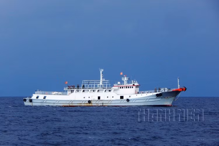 Tàu cá Việt Điện Ngư 42899 tại Trường Sa, tháng 10.2019. Ảnh: Mai Thanh Hải Tàu cá vỏ sắt 750 tấn của Trung Quốc xuất hiện tại Trường Sa, tháng 2.2018. Ảnh: Mai Thanh Hải Tàu cá vỏ sắt Trung Quốc sơn màu đen, buồng lái màu trắng, cao 3 tầng, tại vùng biển Sinh Tồn (Trường Sa), tháng 1.2018. Ảnh: Mai Thanh Hải Tàu cá Quế Khâm Ngư 12665 xâm phạm vùng đặc quyền kinh tế Việt Nam, tháng 5.2019. Ảnh: Mai Thanh Hải Tàu cá Trung Quốc hạ thủy đầu 2016 và tháng 4.2016 xuất hiện ngoài Trường Sa. Ảnh: Mai Thanh Hải (còn tiếp)