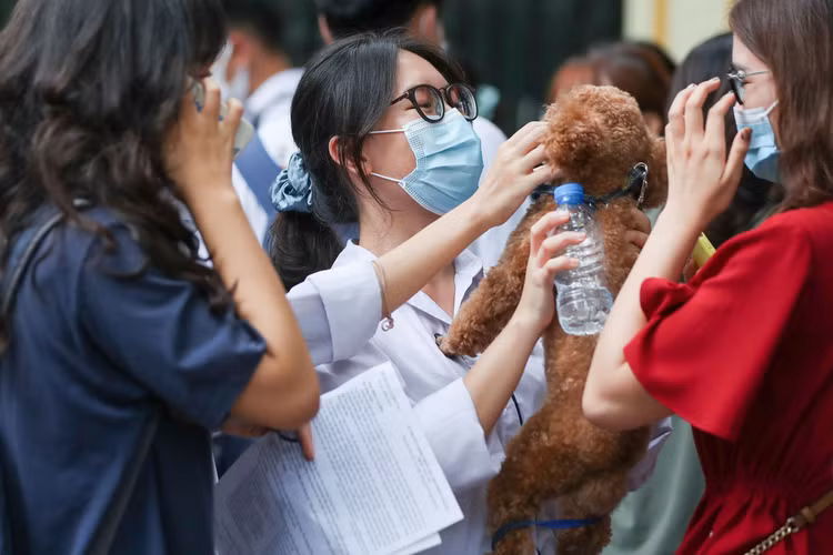 Bày tỏ về trân trọng cuộc sống, thí sinh khen đề Văn hay - 1