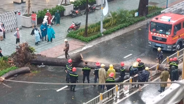 Cây cổ thụ cao hàng chục mét đổ đè người đàn ông trên phố Sài Gòn - 1