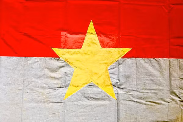 Người phất cờ giải phóng tại Dinh Độc Lập - ảnh 2