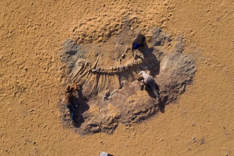 kho tang hoa thach khung long o Sahara anh 1