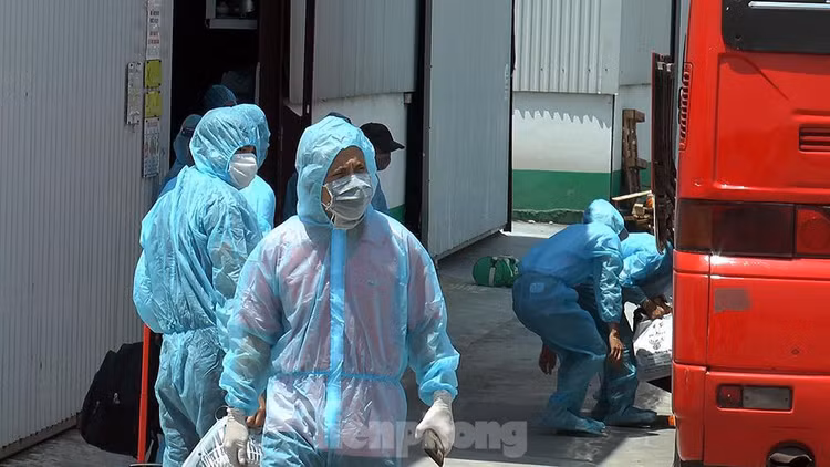 Thêm một khu vực bị phong toả ở huyện Thường Tín sau khi 3 công nhân mắc COVID-19 ảnh 6