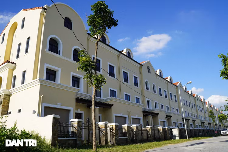 Cận cảnh hàng loạt khu biệt thự bỏ hoang nhiều năm ở ngoại thành Hà Nội - 16
