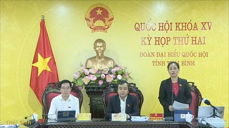 dai-bieu-nguyen-thi-thu-dung-thai-binh(3).jpg