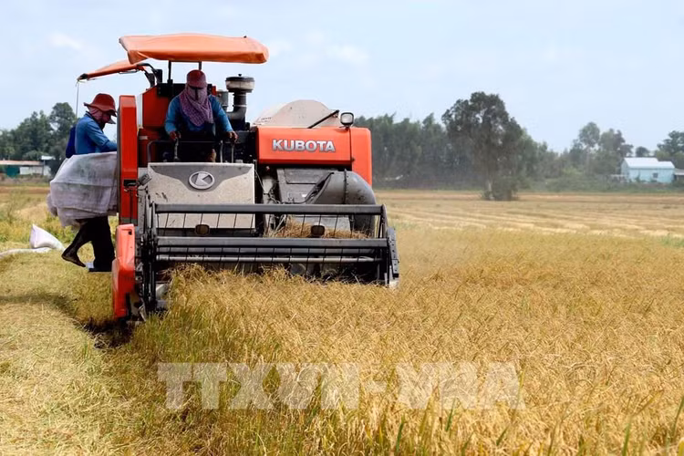 “Trụ đỡ” nông nghiệp - Vẫn cần thêm trợ lực ảnh 3
