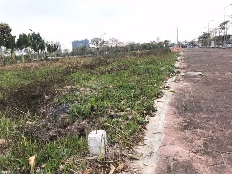 Sau các phiên đấu giá đất nhiều nhà đầu tư không kịp "sang tay" kiếm lời.