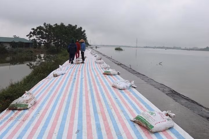 d05521de-05bd-4ade-8661-7fd73865cfc0.jpeg