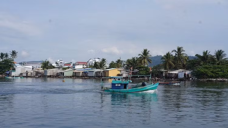 du-an-dbscl(1).jpg
