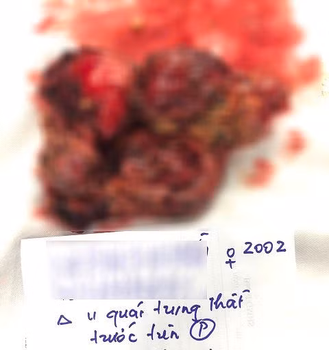 u-quai.jpg