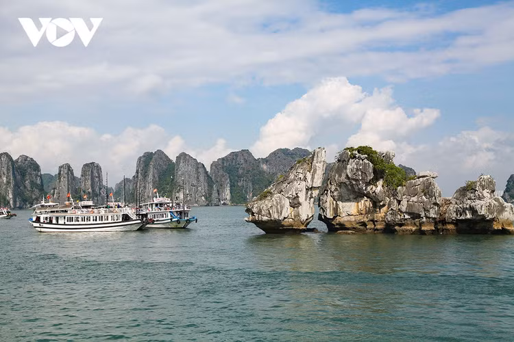 Chuẩn bị kích cầu, phục hồi du lịch cuối năm 2021 và đầu năm 2022 ảnh 1